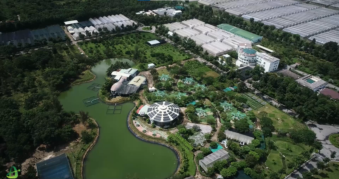 NGHIÊN CỨU CHUYÊN SÂU VỀ LẬP BÁO CÁO ĐÁNH GIÁ TÁC ĐỘNG MÔI TRƯỜNG