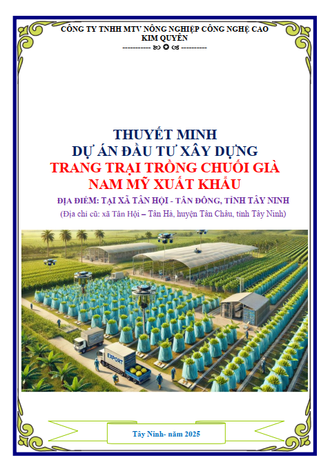 Thuyết Minh Dự Án Trang Trại Trồng Chuối Già Nam Mỹ Xuất Khẩu Tại Tây Ninh – Phát Triển Nông Nghiệp Công Nghệ Cao