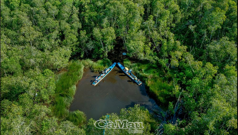 Quy trình thực hiện báo cáo đánh giá tác động môi trường cho trung tâm dưỡng lão