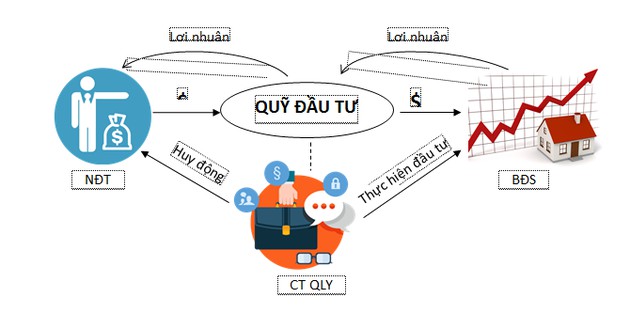 Xây dựng danh mục đầu tư tối ưu